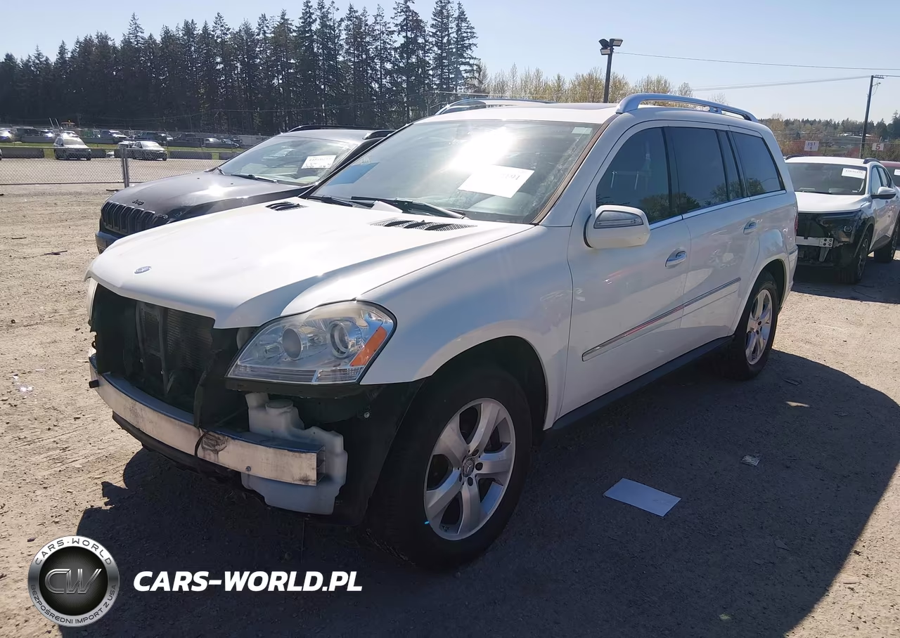 2010 Mercedes-Benz Gl 450 4Matic VIN:4JGBF7BEXAA543503 - 2