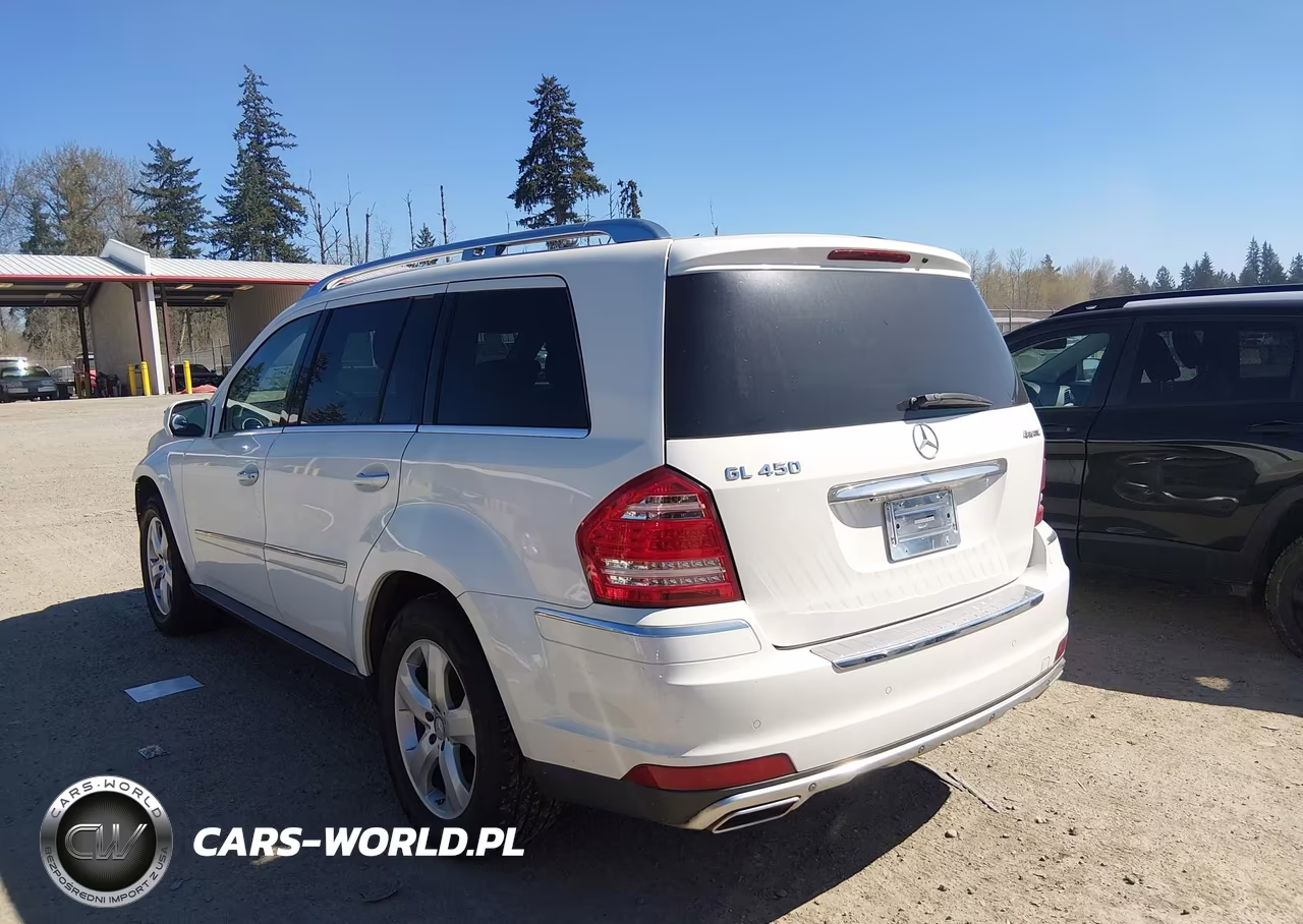 2010 Mercedes-Benz Gl 450 4Matic VIN:4JGBF7BEXAA543503 - 3
