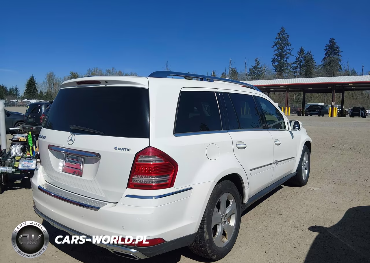 2010 Mercedes-Benz Gl 450 4Matic VIN:4JGBF7BEXAA543503 - 4