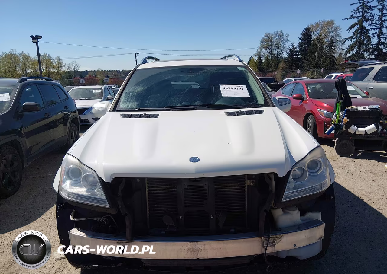 2010 Mercedes-Benz Gl 450 4Matic VIN:4JGBF7BEXAA543503 - 6