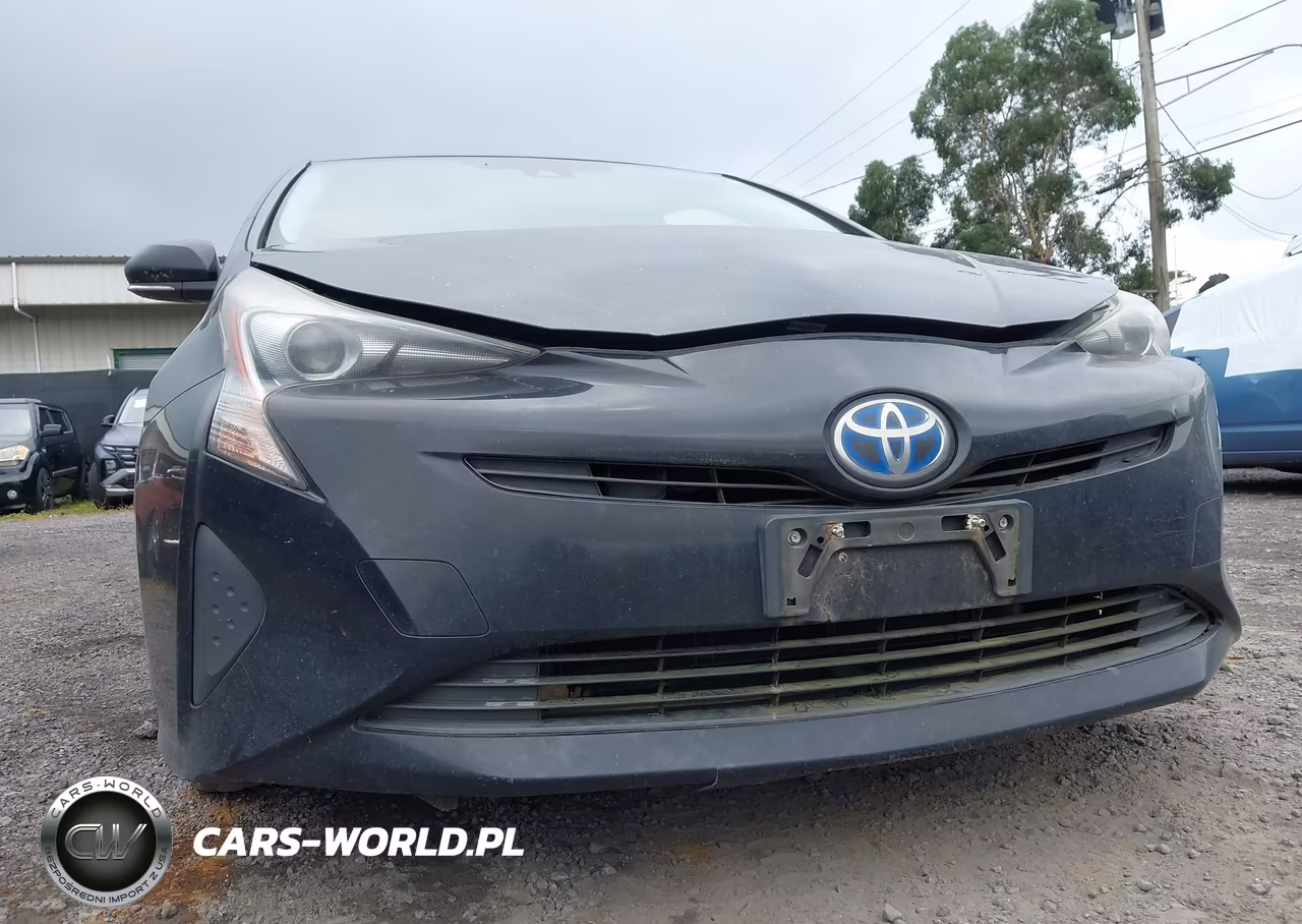 2016 Toyota Prius VIN:JTDKARFU3G3005447 - 12