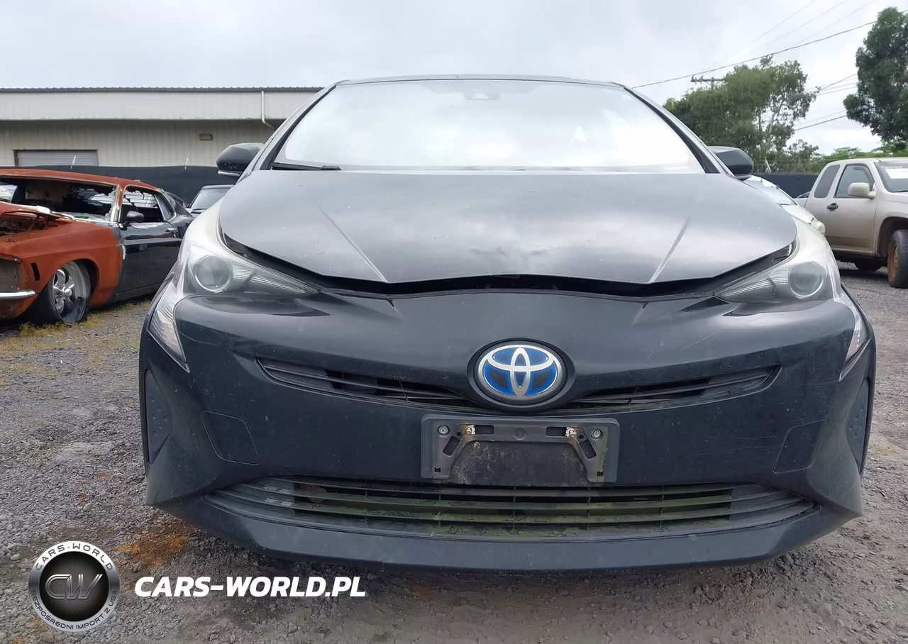 2016 Toyota Prius VIN:JTDKARFU3G3005447 - 13