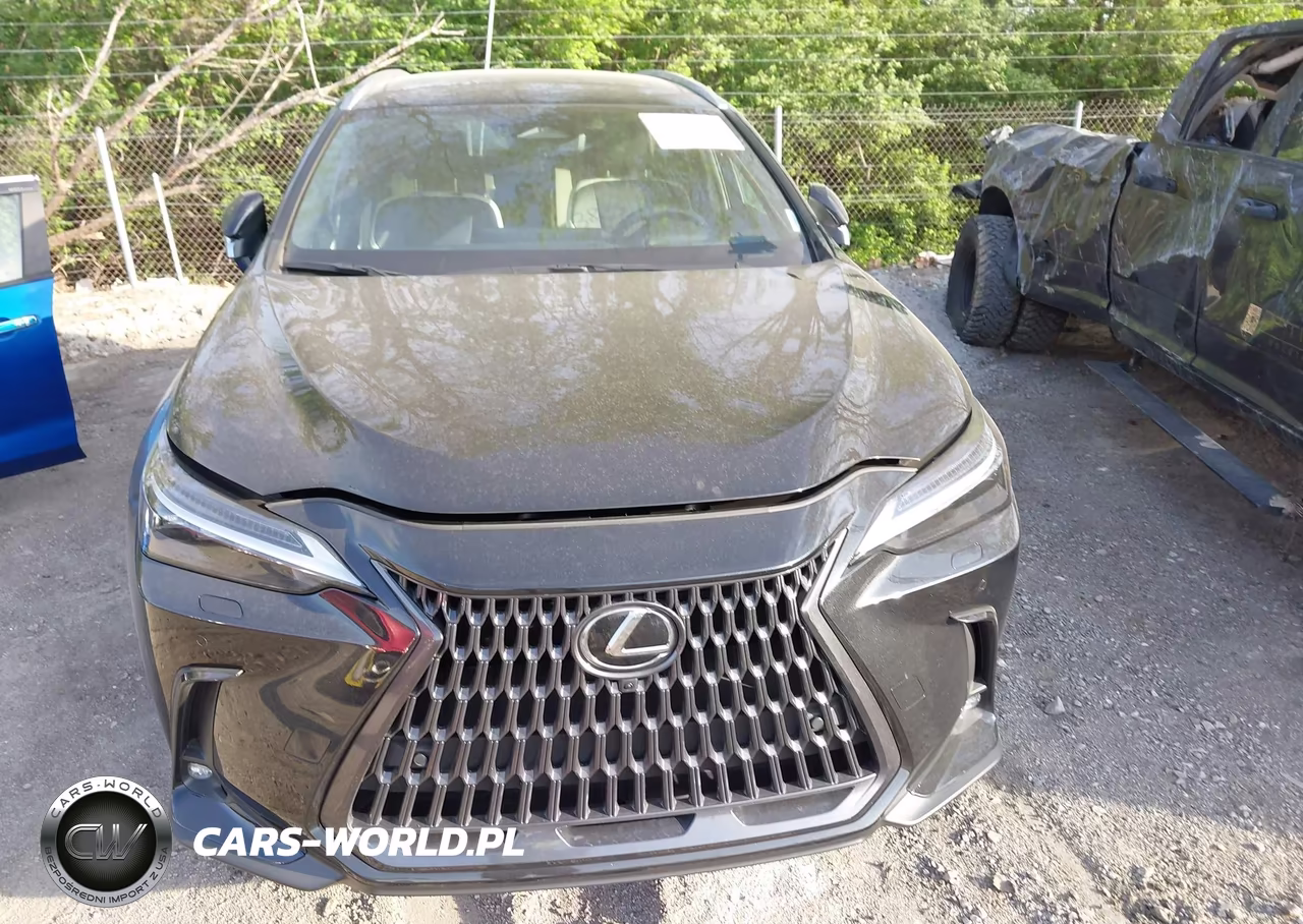 2024 Lexus Nx 350H Luxury VIN:2T2HKCEZ5RC022242 - 12