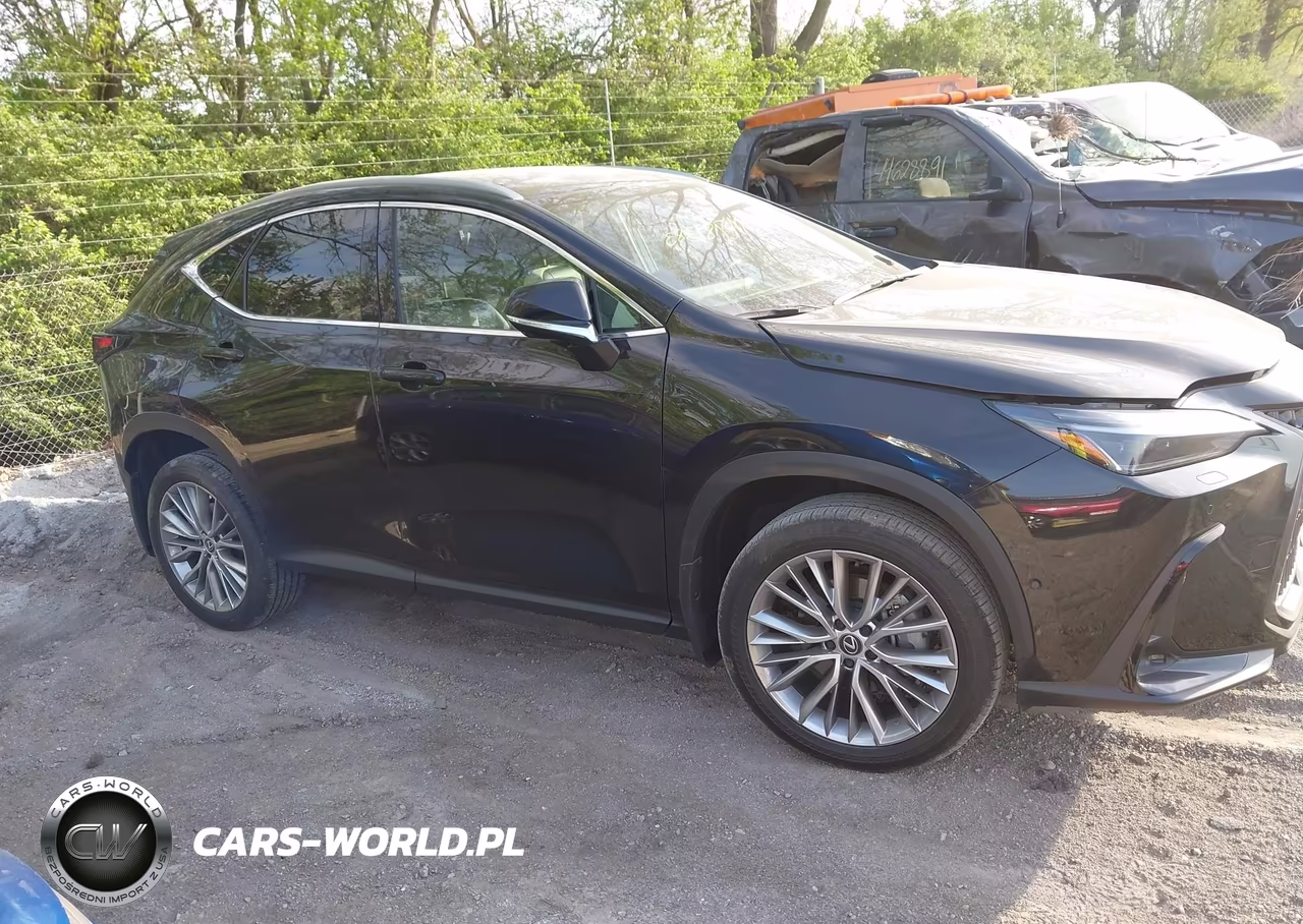 2024 Lexus Nx 350H Luxury VIN:2T2HKCEZ5RC022242 - 13