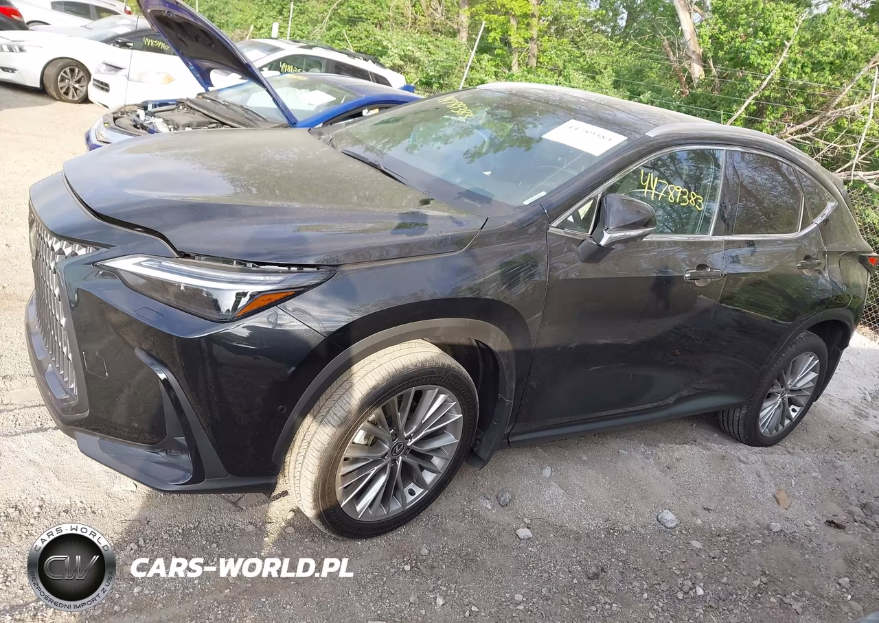 2024 Lexus Nx 350H Luxury VIN:2T2HKCEZ5RC022242 - 14