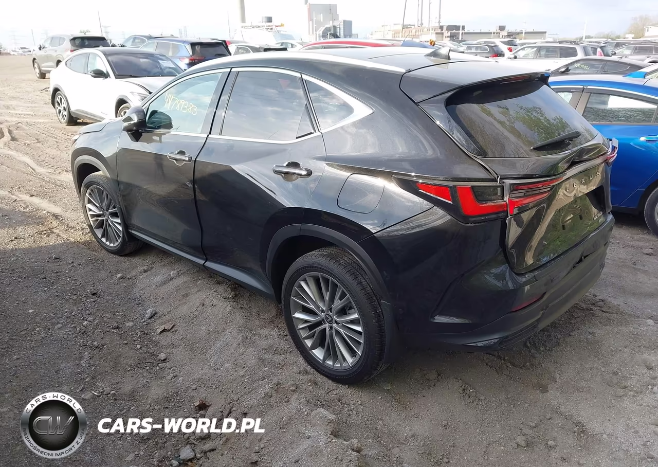 2024 Lexus Nx 350H Luxury VIN:2T2HKCEZ5RC022242 - 3