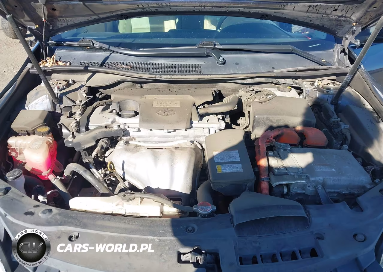 2016 Toyota Camry Hybrid Xle VIN:4T1BD1FKXGU183045 - 10