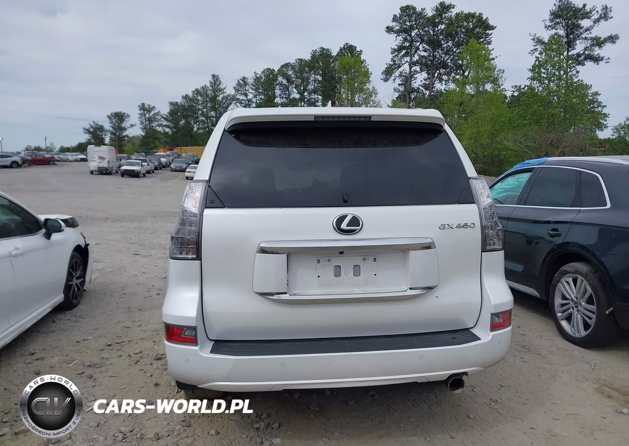 2020 Lexus Gx 460 Premium VIN:JTJAM7BX7L5263909 - 16