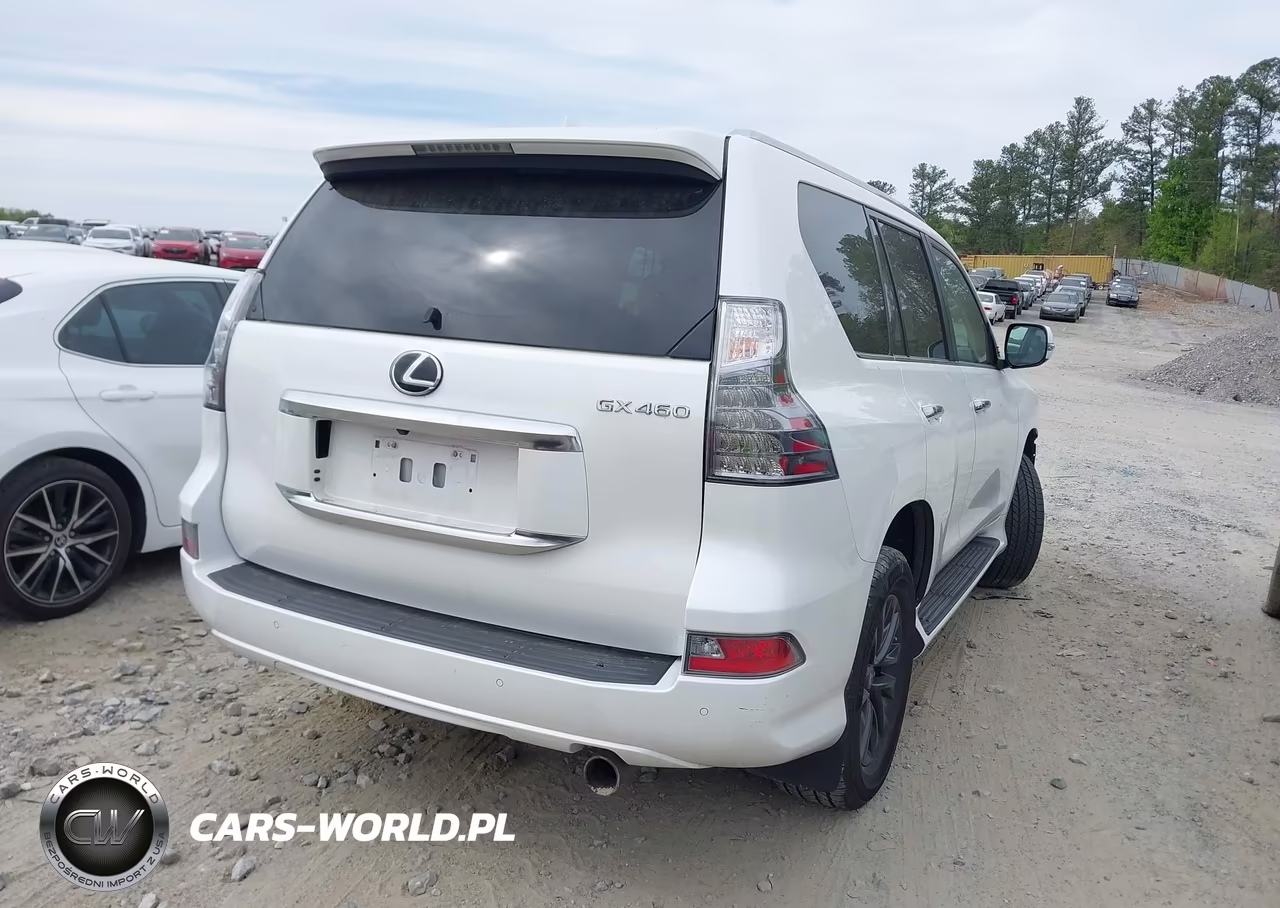 2020 Lexus Gx 460 Premium VIN:JTJAM7BX7L5263909 - 4