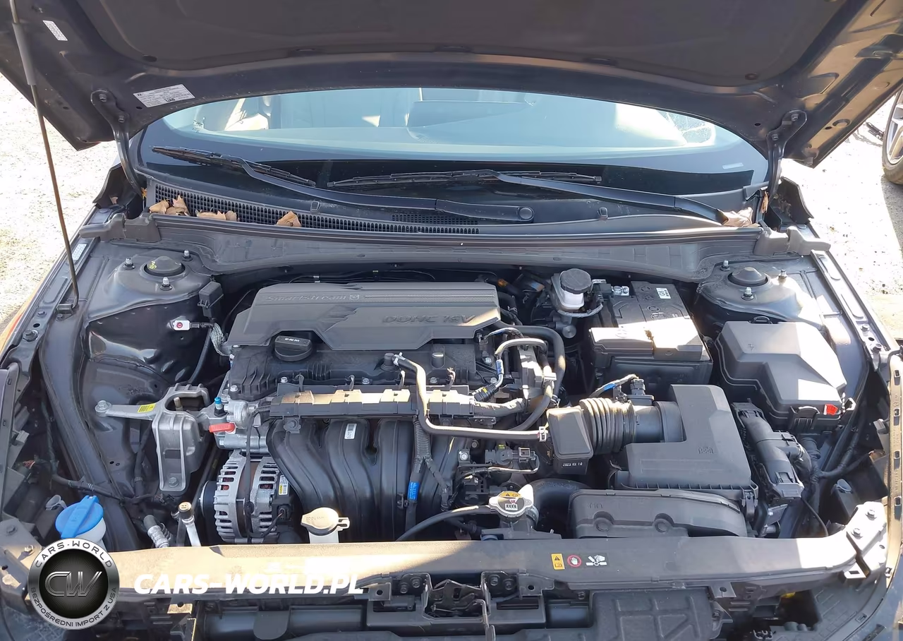 2023 Hyundai Elantra Limited VIN:KMHLP4AG2PU564159 - 10