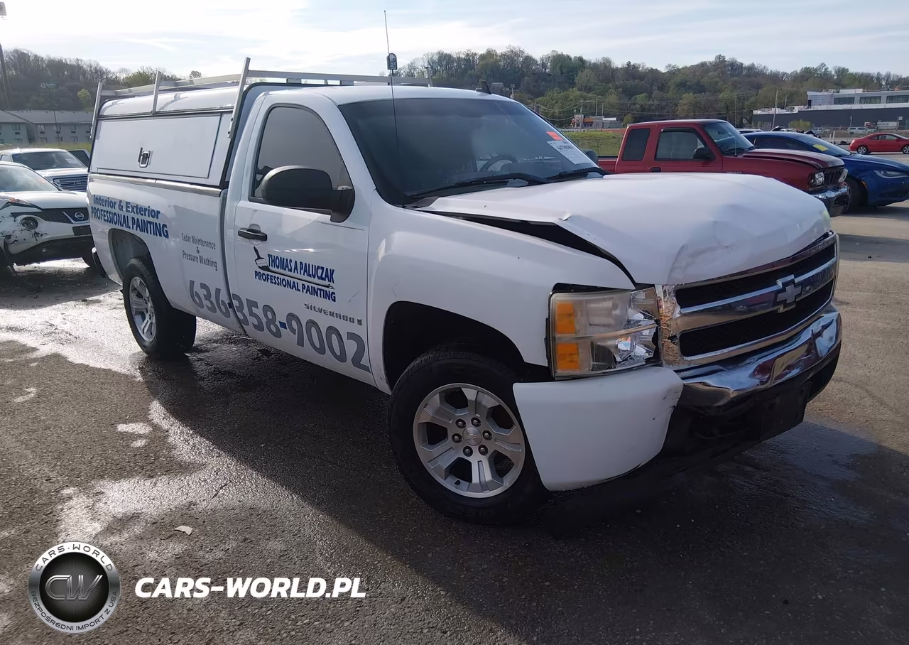 2007 Chevrolet Silverado 1500 Work Truck