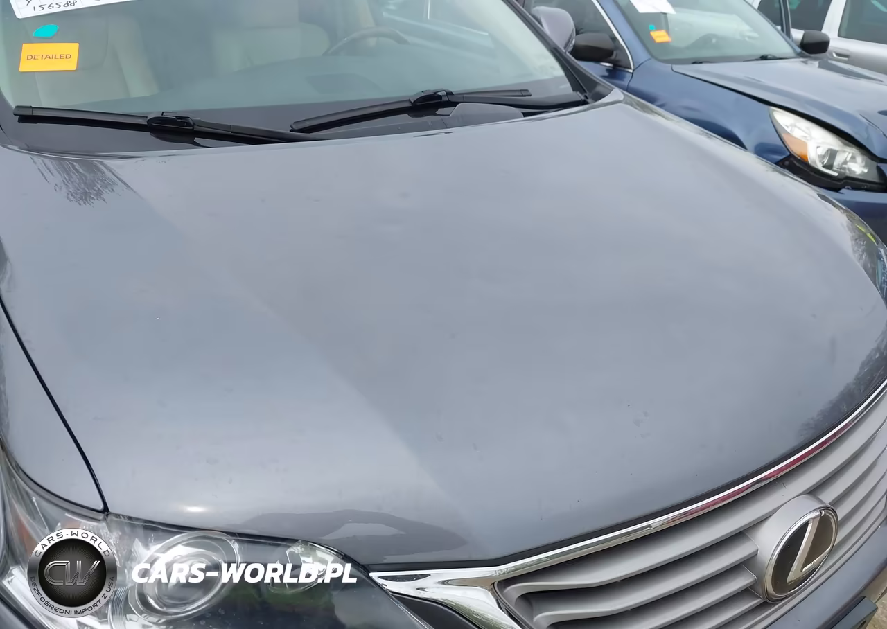 2013 Lexus Rx 350 VIN:2T2BK1BA5DC156248 - 18