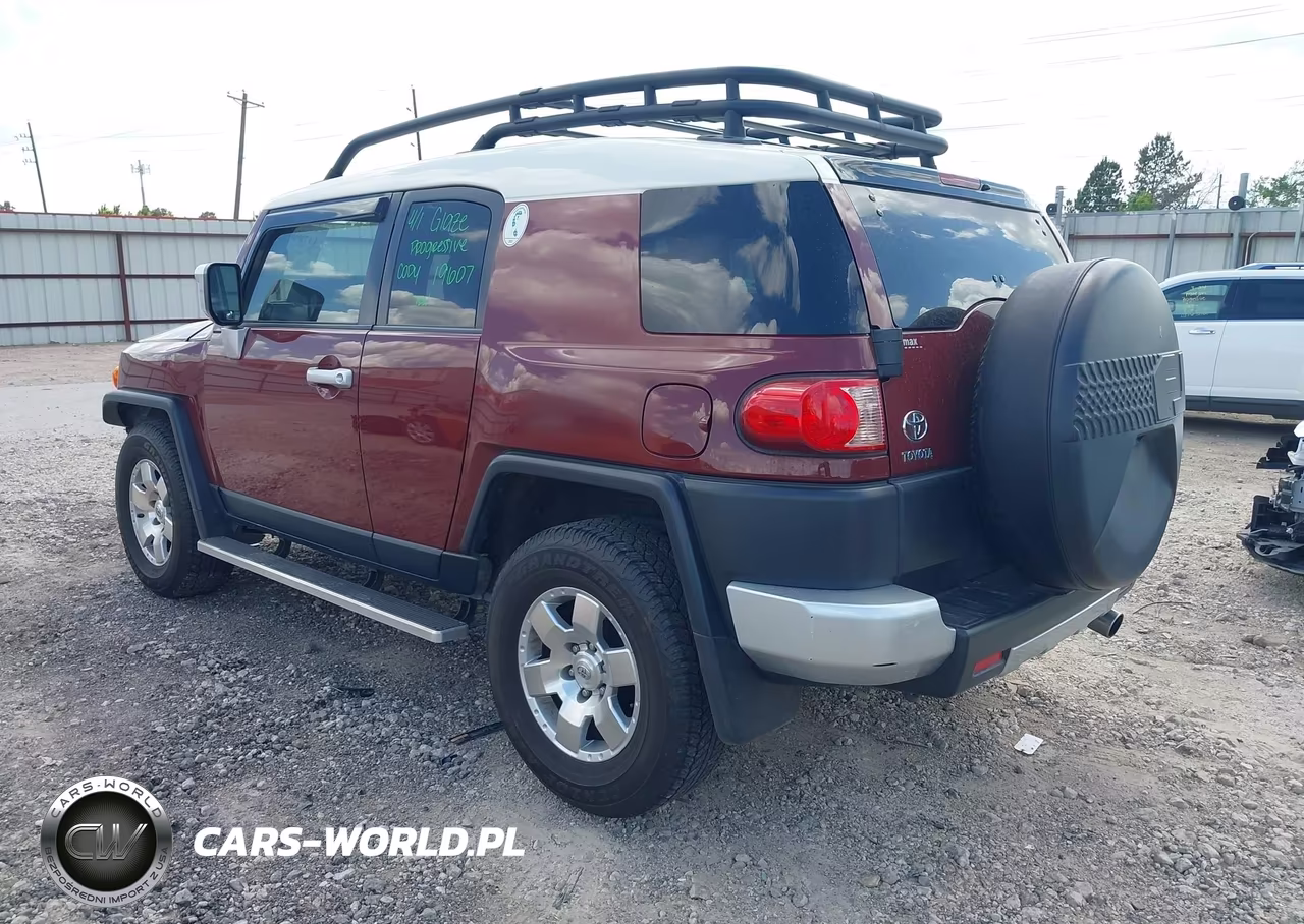 2010 Toyota Fj Cruiser VIN:JTEZU4BF5AK008956 - 3