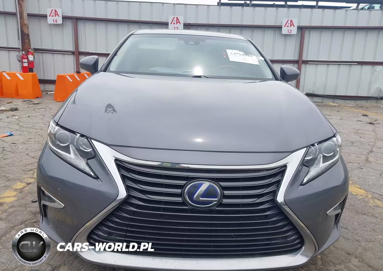 2018 Lexus Es 300H VIN:JTHBW1GG2J2185463 - 12