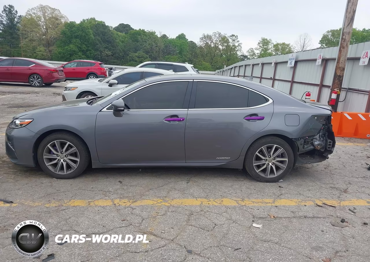 2018 Lexus Es 300H VIN:JTHBW1GG2J2185463 - 14