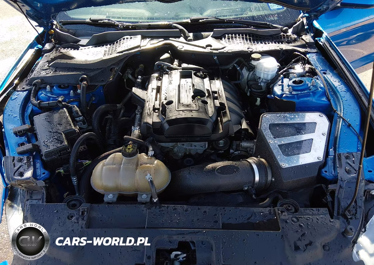2019 Ford Mustang Ecoboost VIN:1FA6P8TH9K5141988 - 10