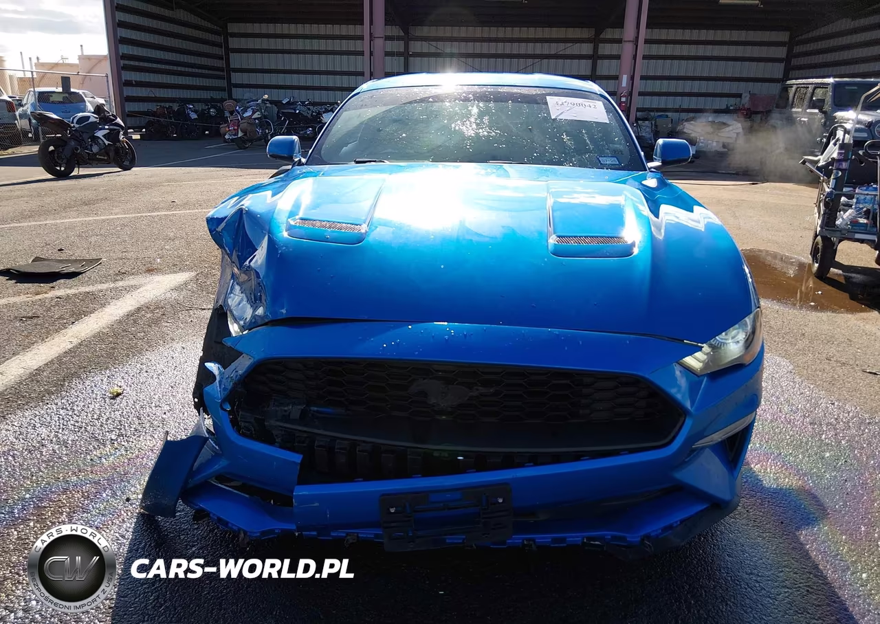 2019 Ford Mustang Ecoboost VIN:1FA6P8TH9K5141988 - 13