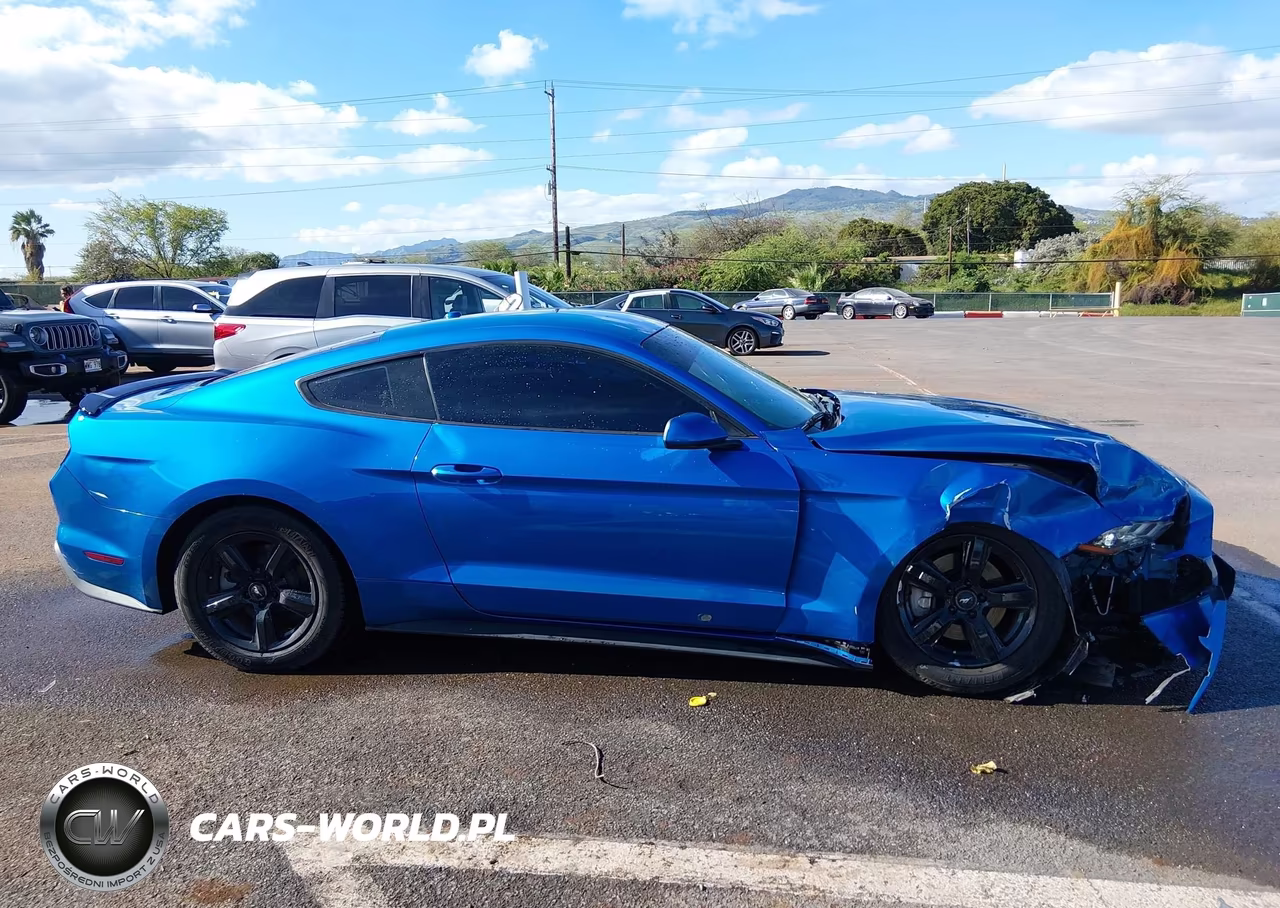 2019 Ford Mustang Ecoboost VIN:1FA6P8TH9K5141988 - 14