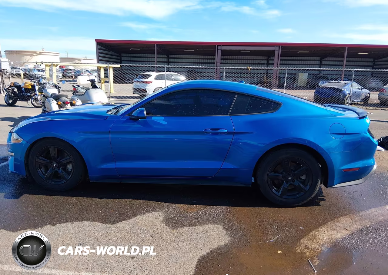 2019 Ford Mustang Ecoboost VIN:1FA6P8TH9K5141988 - 15