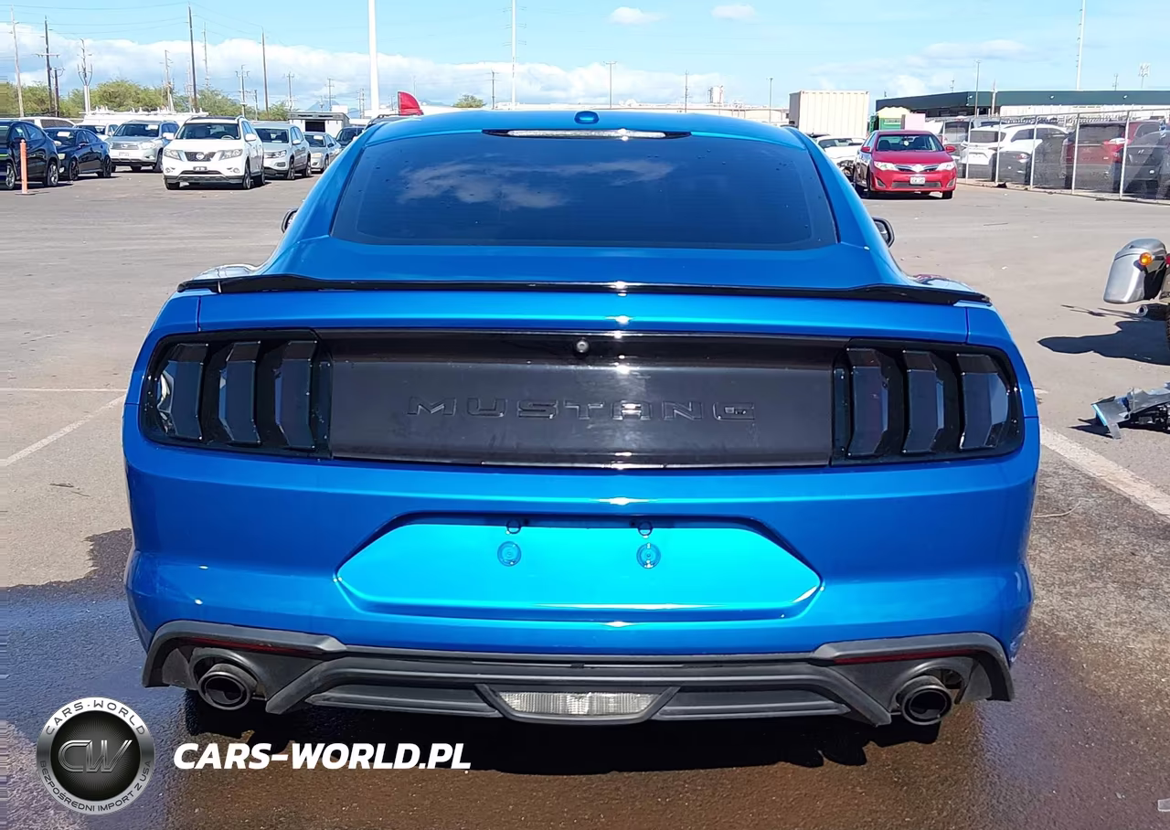 2019 Ford Mustang Ecoboost VIN:1FA6P8TH9K5141988 - 17