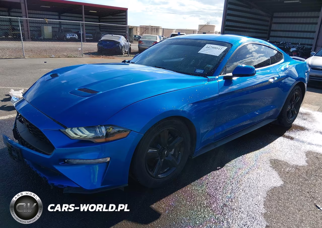 2019 Ford Mustang Ecoboost VIN:1FA6P8TH9K5141988 - 2