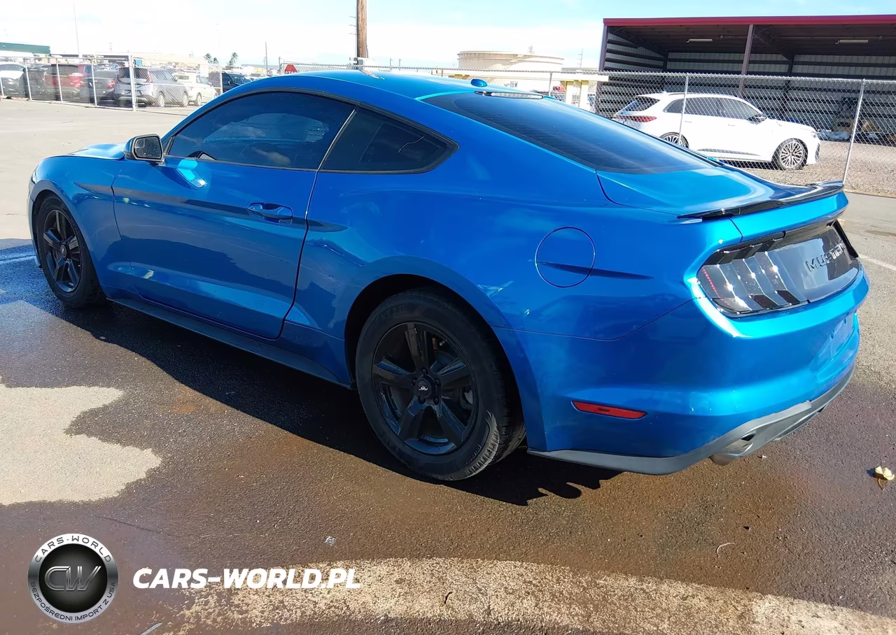 2019 Ford Mustang Ecoboost VIN:1FA6P8TH9K5141988 - 3
