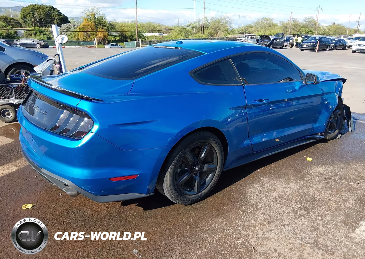2019 Ford Mustang Ecoboost VIN:1FA6P8TH9K5141988 - 4