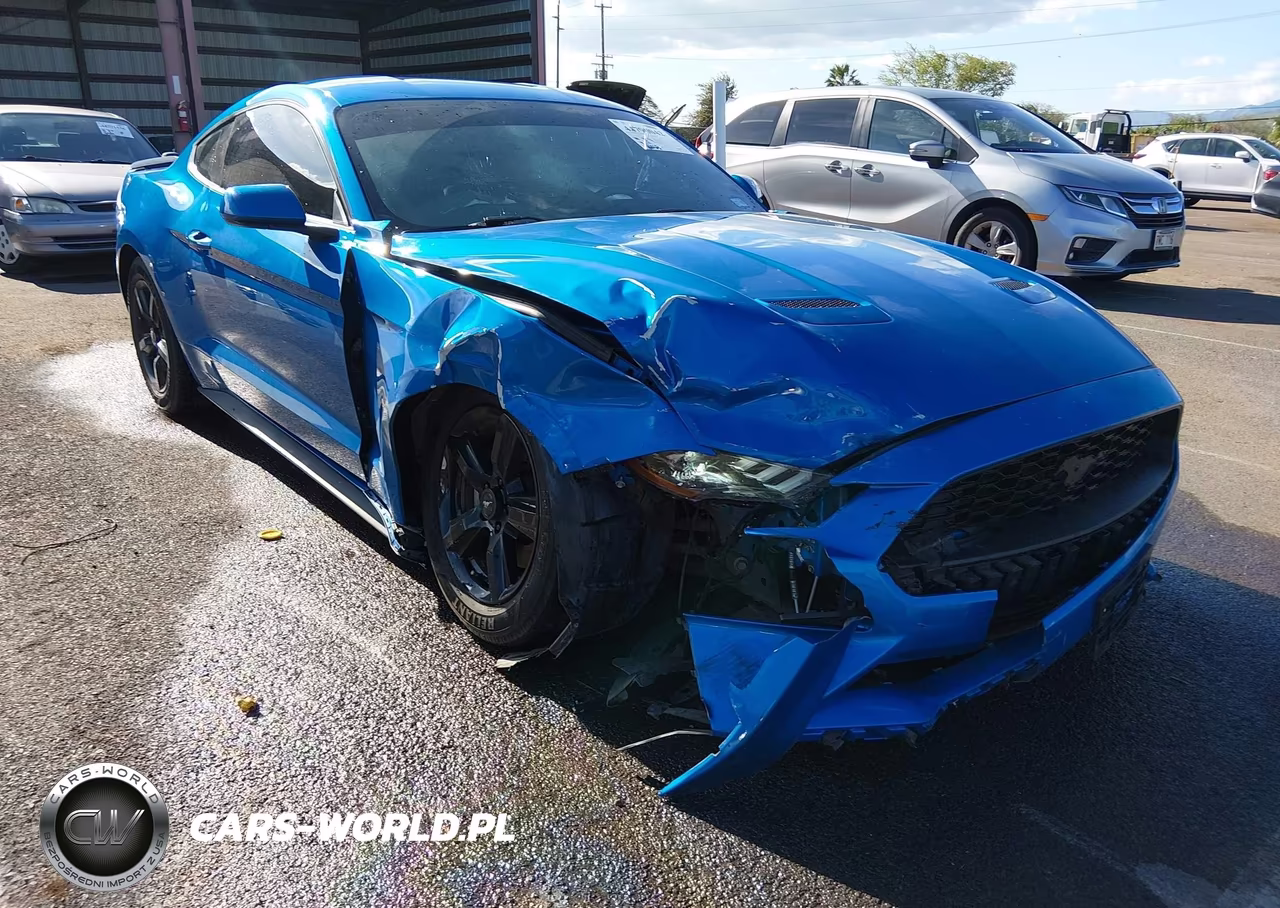 2019 Ford Mustang Ecoboost VIN:1FA6P8TH9K5141988 - 6