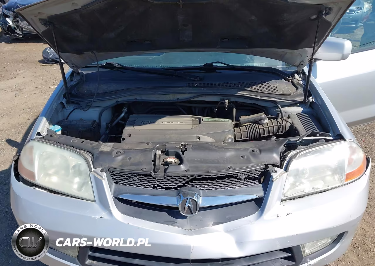 2002 Acura Mdx VIN:2HNYD18242H516101 - 10