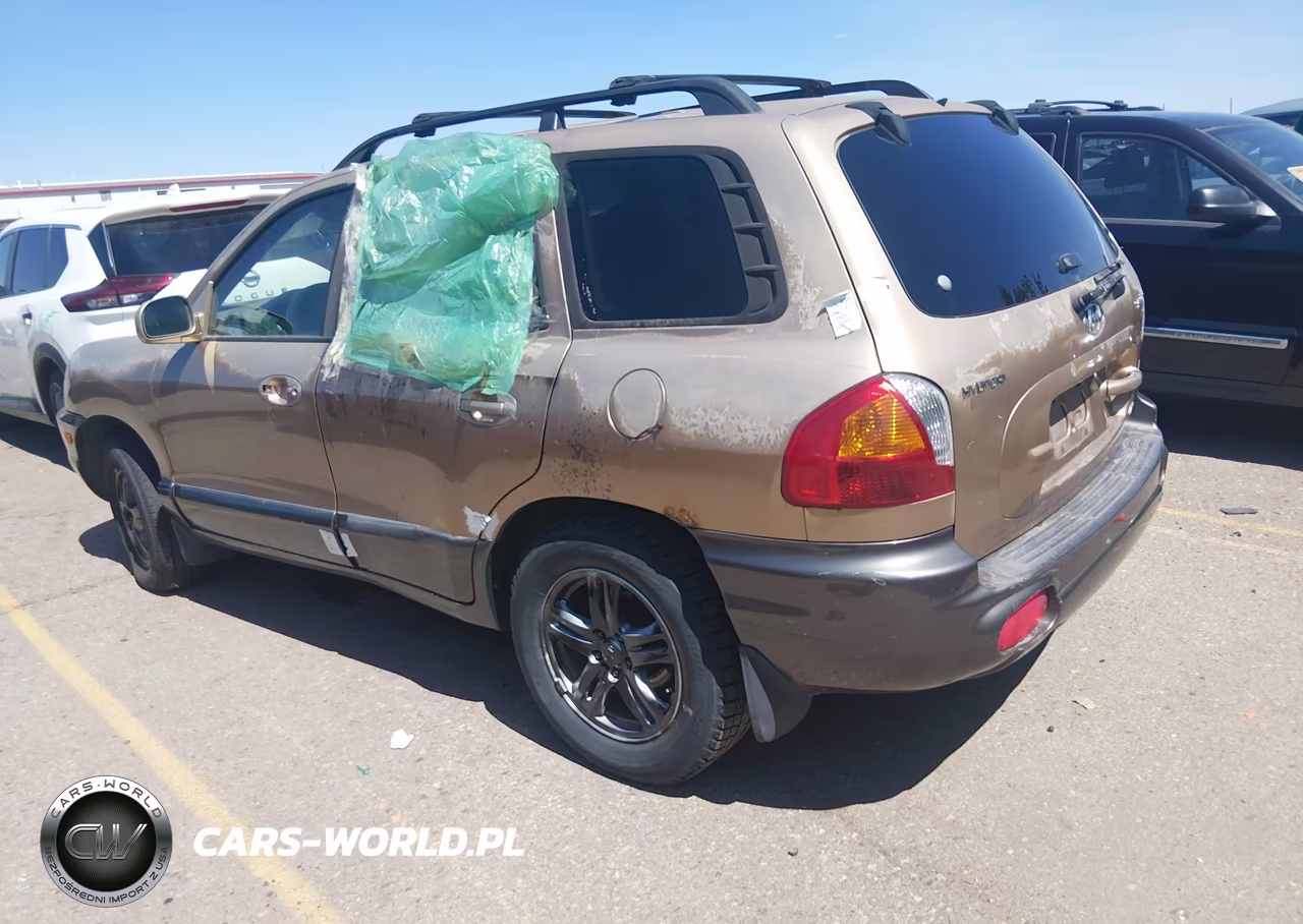 2003 Hyundai Santa Fe Gls-Lx VIN:KM8SC73D23U361861 - 3
