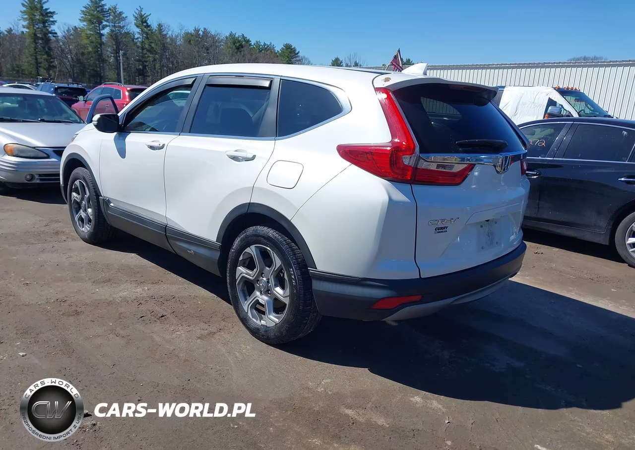 2019 Honda Cr-V Ex VIN:2HKRW2H52KH670768 - 3