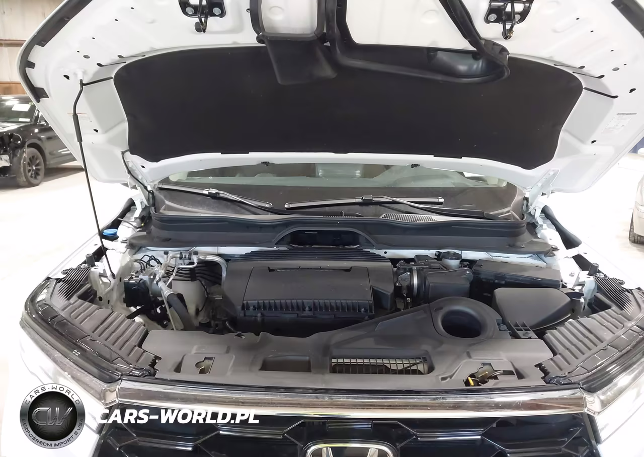 2025 Honda Pilot Touring VIN:5FNYG1H75SB189805 - 10
