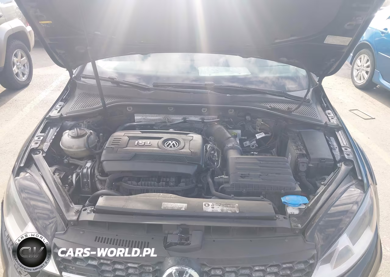 2017 Volkswagen Golf Alltrack Tsi S-Tsi Se-Tsi Sel VIN:3VWH17AU0HM530629 - 10