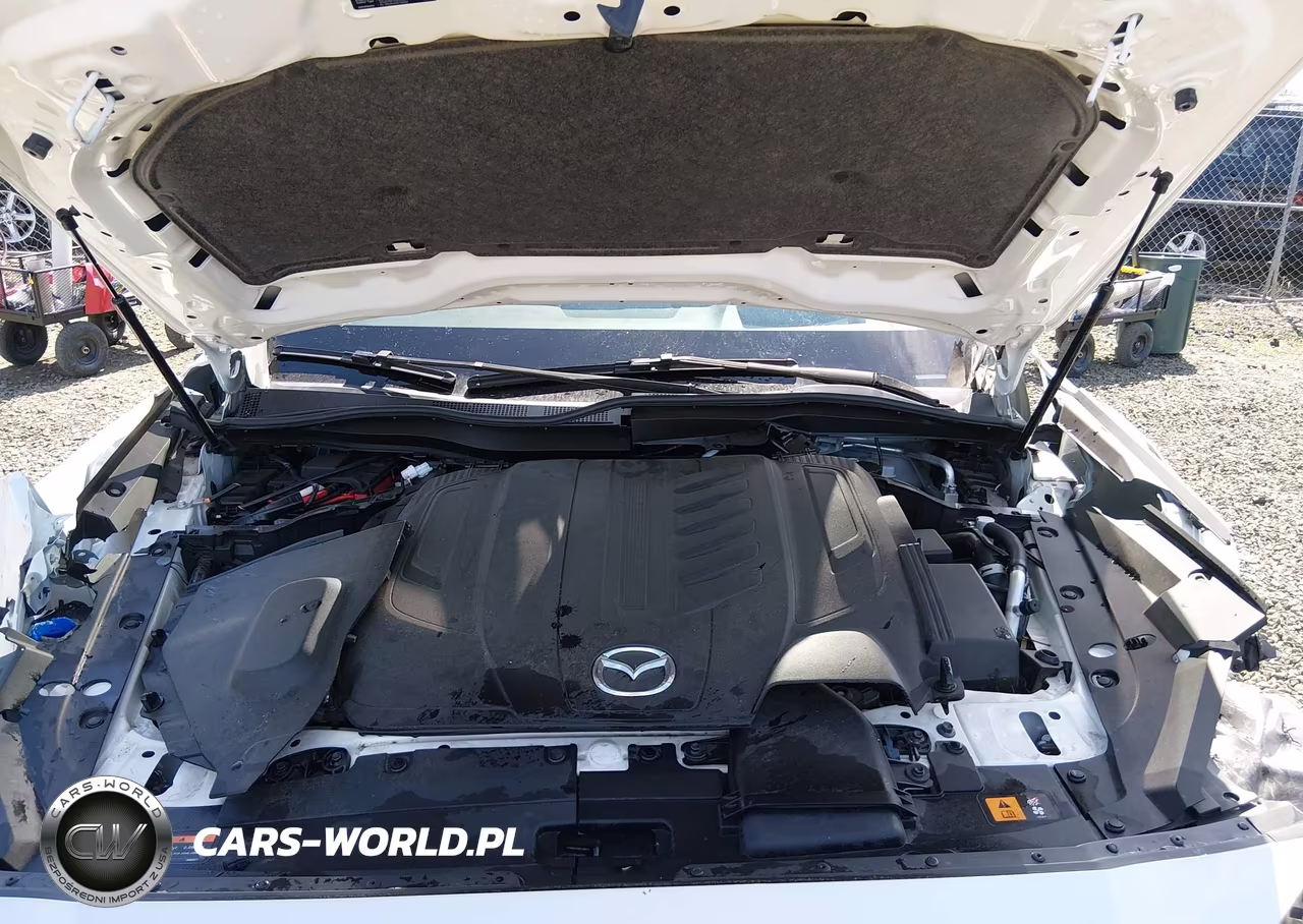 2024 Mazda Cx-90 3.3 Turbo S Premium VIN:JM3KKDHCXR1112506 - 10