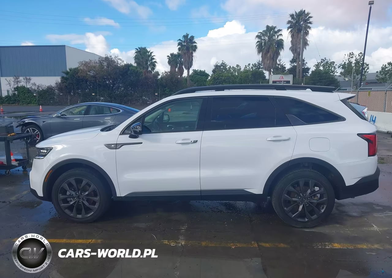 2023 Kia Sorento X-Line Sx Prestige VIN:5XYRKDLF4PG246918 - 15