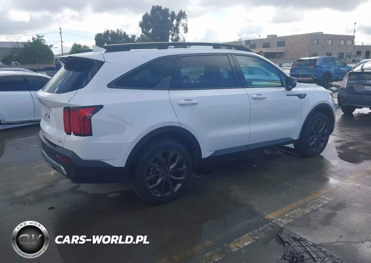 2023 Kia Sorento X-Line Sx Prestige VIN:5XYRKDLF4PG246918 - 4