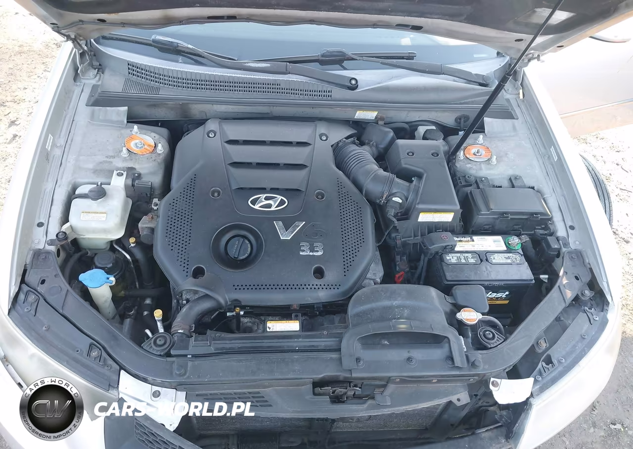2008 Hyundai Sonata Limited V6-Se V6 VIN:5NPEU46F98H356877 - 10