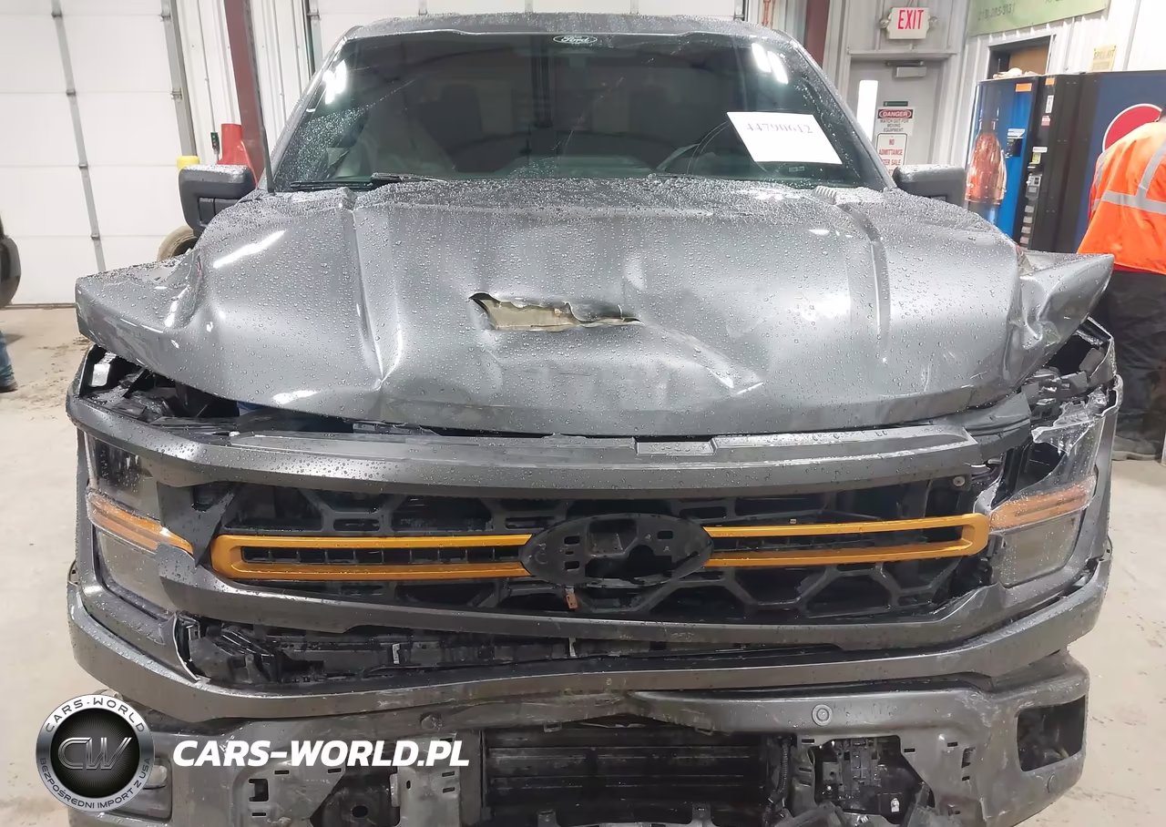 2025 Ford F-150 Tremor VIN:1FTFW4L8XSFC45731 - 12