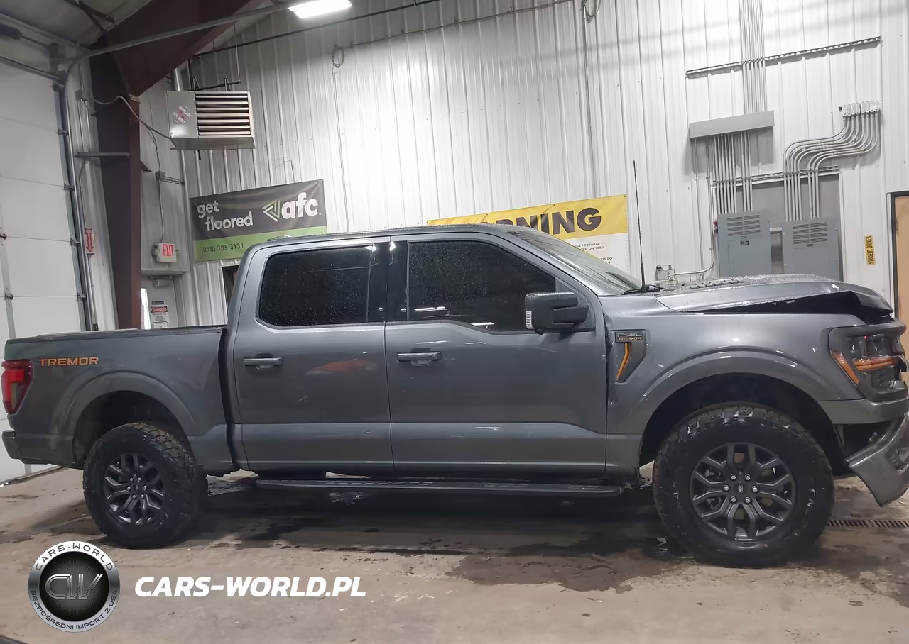 2025 Ford F-150 Tremor VIN:1FTFW4L8XSFC45731 - 13