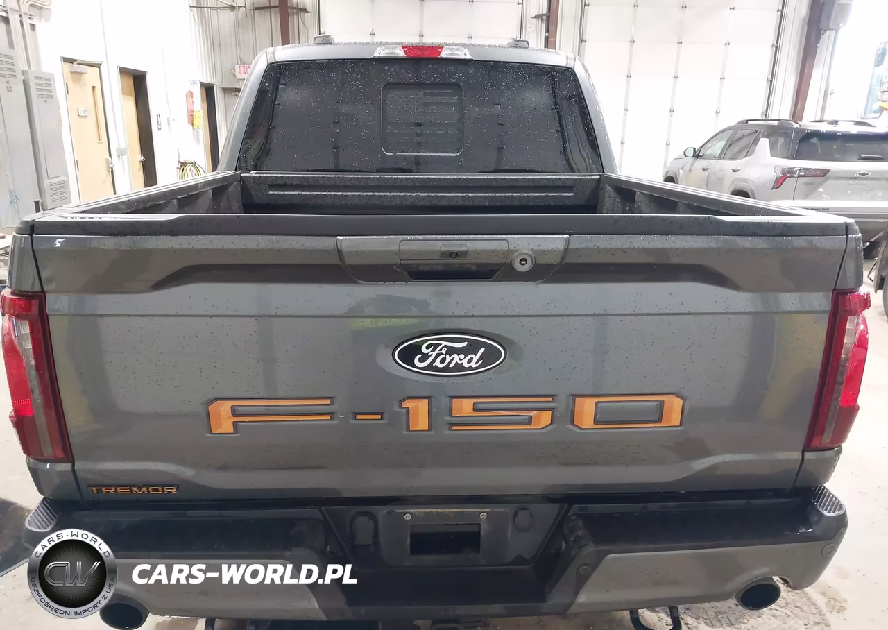 2025 Ford F-150 Tremor VIN:1FTFW4L8XSFC45731 - 16