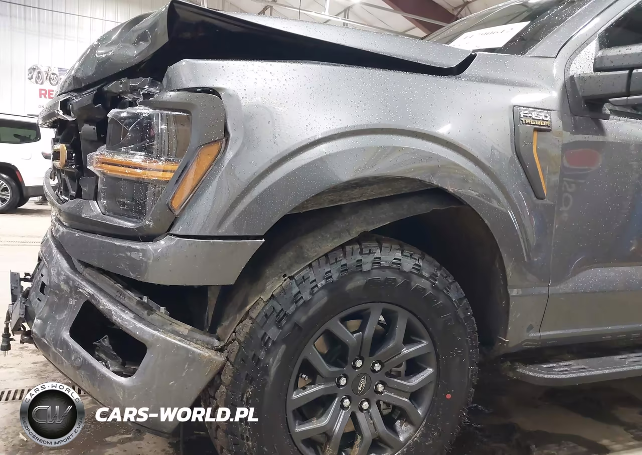 2025 Ford F-150 Tremor VIN:1FTFW4L8XSFC45731 - 17