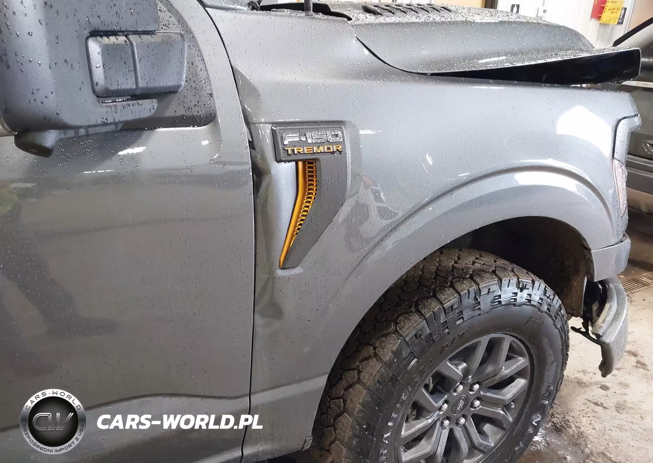 2025 Ford F-150 Tremor VIN:1FTFW4L8XSFC45731 - 18