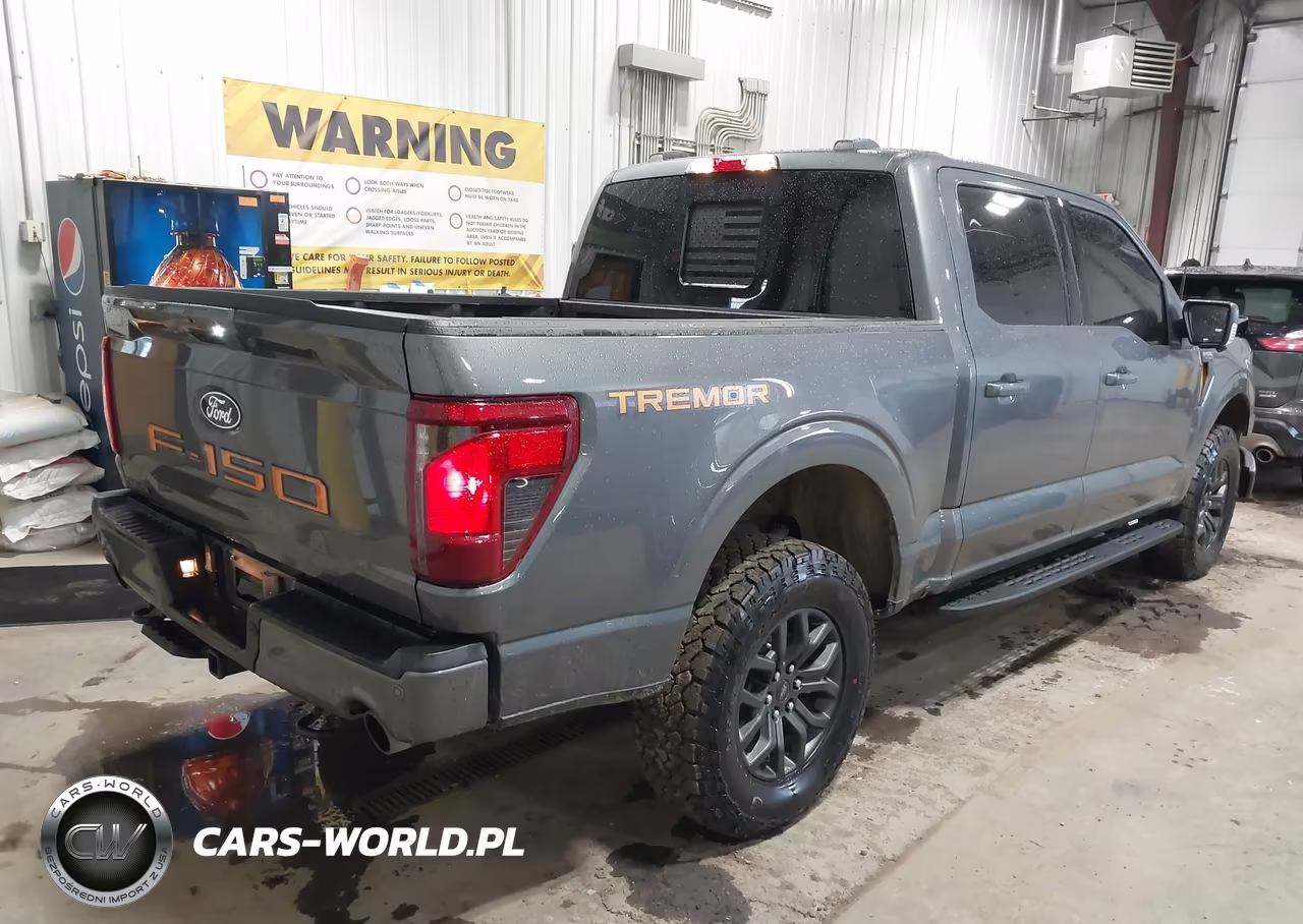 2025 Ford F-150 Tremor VIN:1FTFW4L8XSFC45731 - 4