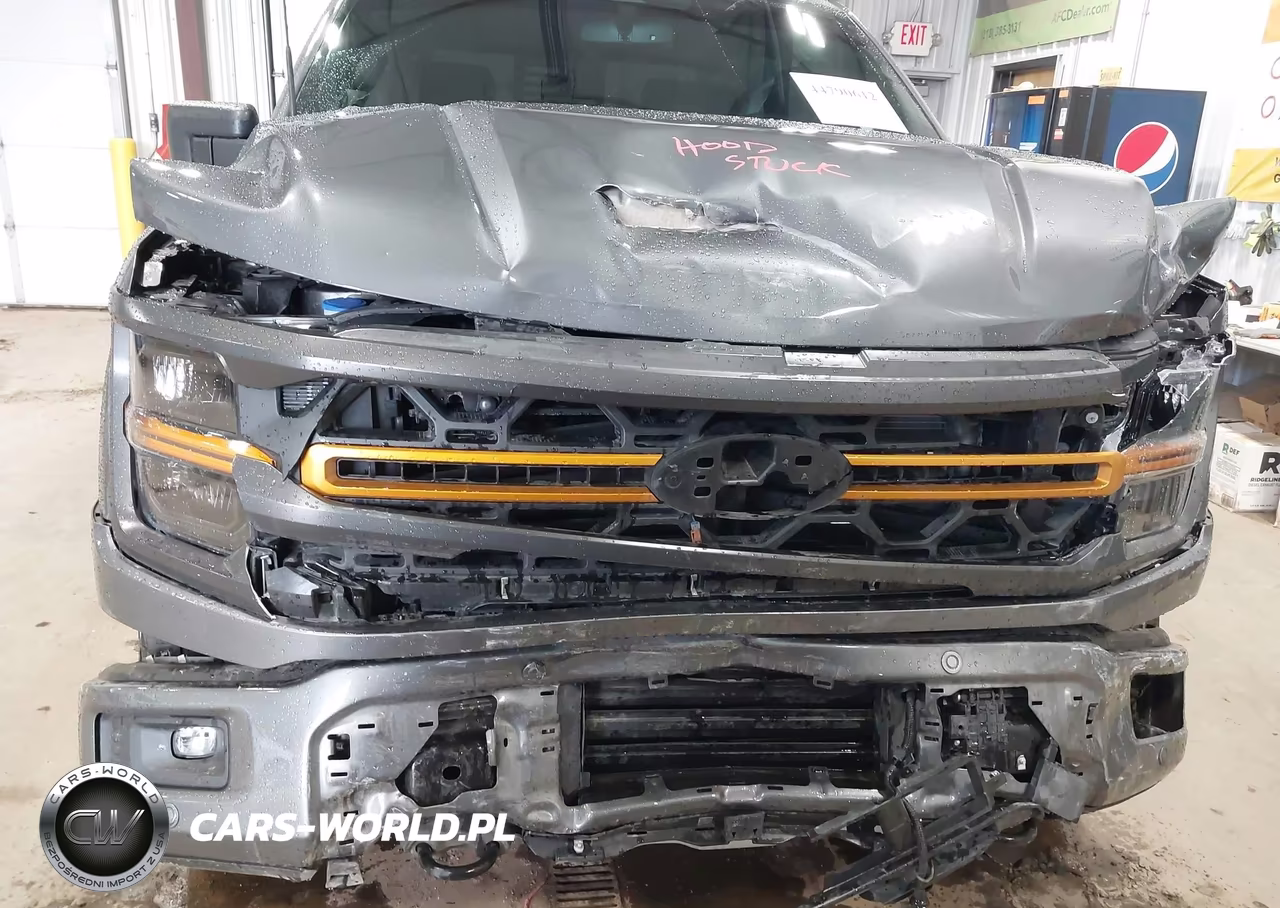 2025 Ford F-150 Tremor VIN:1FTFW4L8XSFC45731 - 6