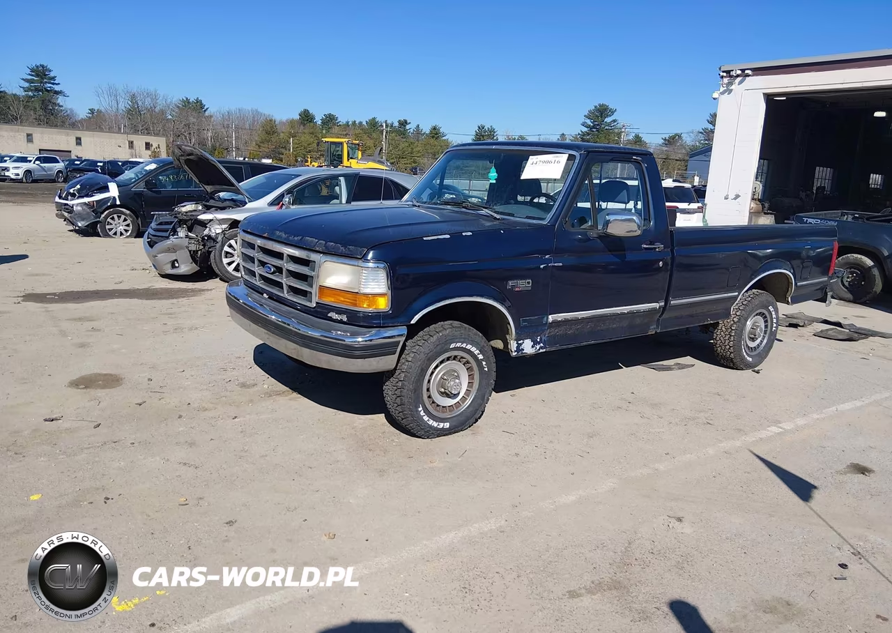 1993 Ford F150 VIN:1FTEF14N3PLA12636 - 2