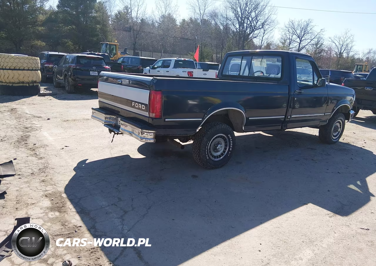 1993 Ford F150 VIN:1FTEF14N3PLA12636 - 4