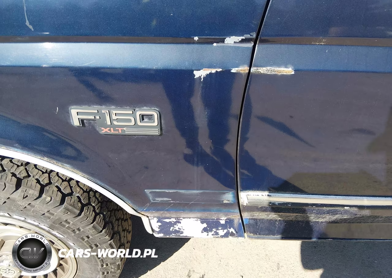 1993 Ford F150 VIN:1FTEF14N3PLA12636 - 6