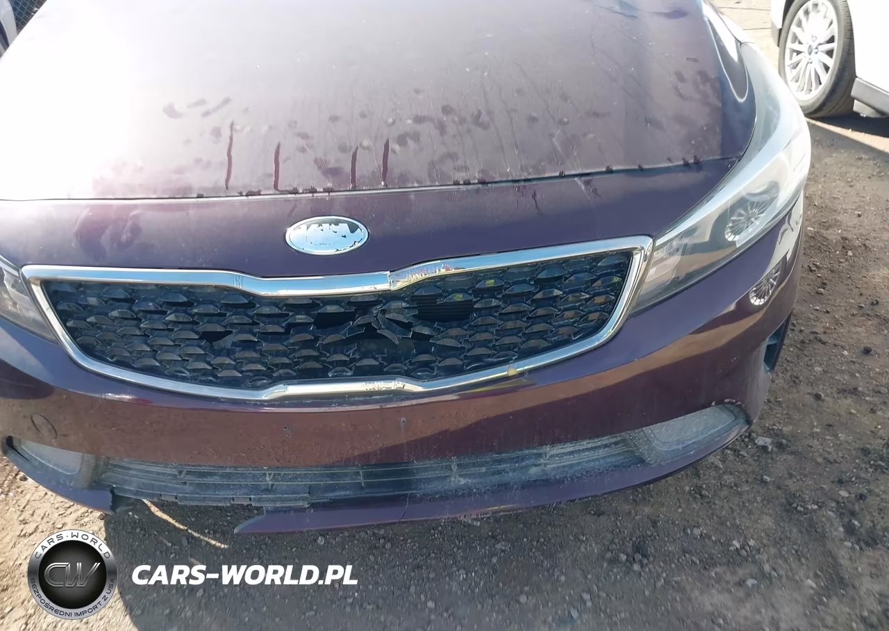 2017 Kia Forte Lx VIN:3KPFK4A76HE084724 - 13