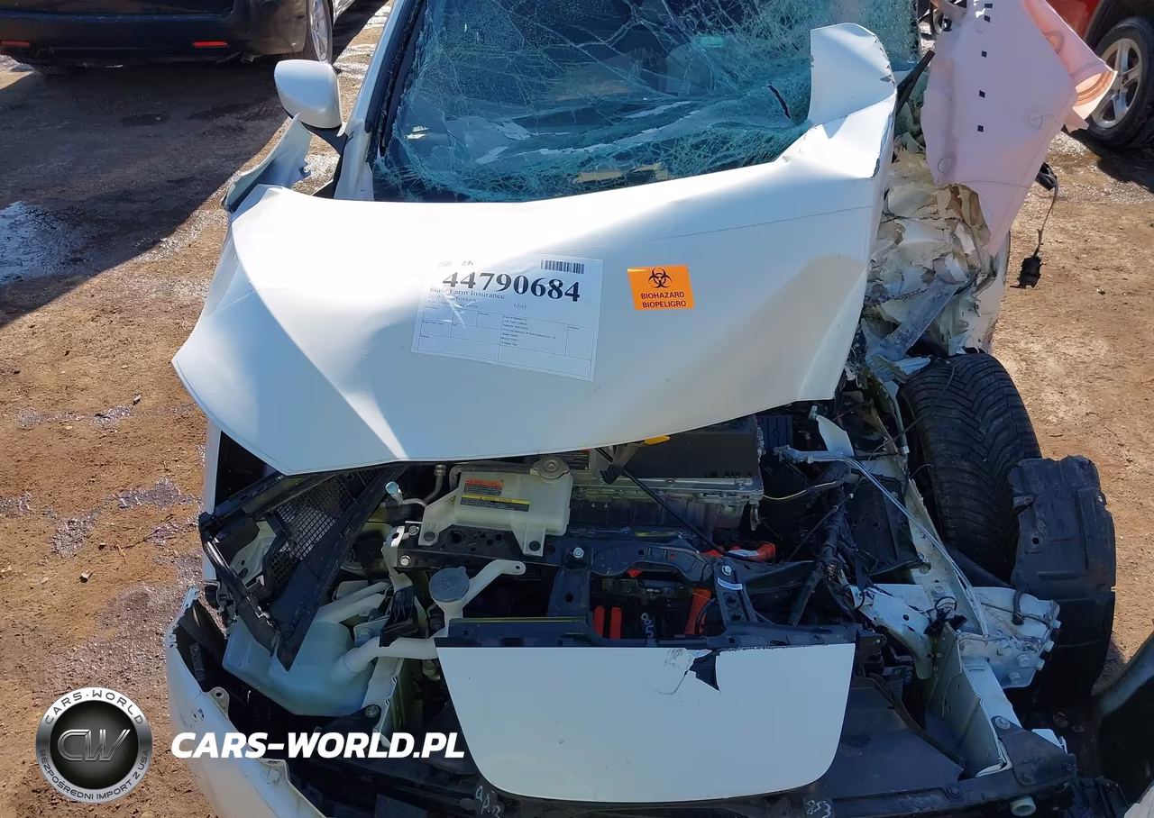 2019 Nissan Leaf Sv Plus VIN:1N4BZ1CP4KC320359 - 10