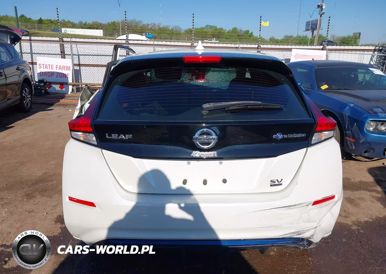 2019 Nissan Leaf Sv Plus VIN:1N4BZ1CP4KC320359 - 15